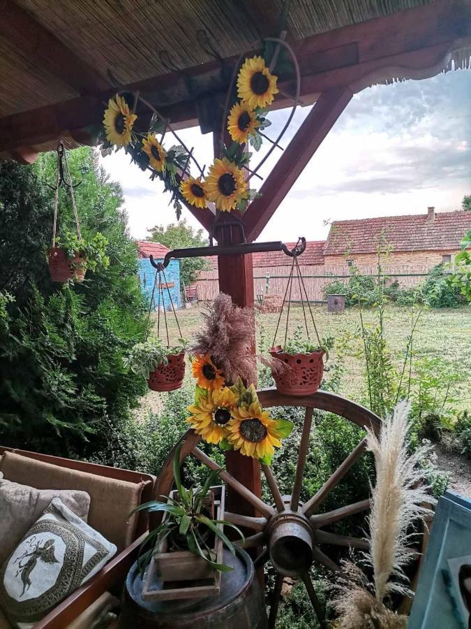 Etno Kuca Teodora Bed & Breakfast Stajicevo Exterior foto